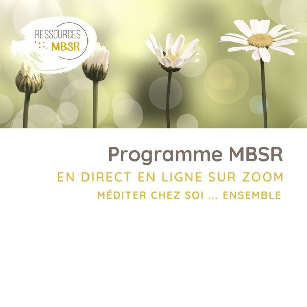 Méditation pleine conscience - programme MBSR - réduction du stress par la pleine conscience