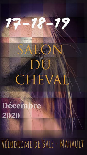 Salon du cheval Guadeloupe