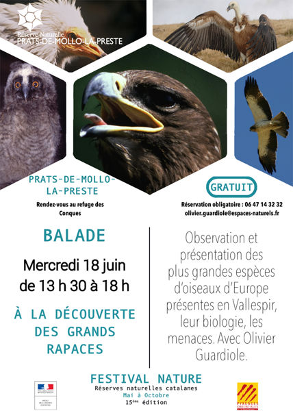 Balade : A la découverte des grands rapaces