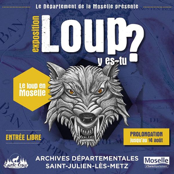 Exposition Loup y-es-tu ?