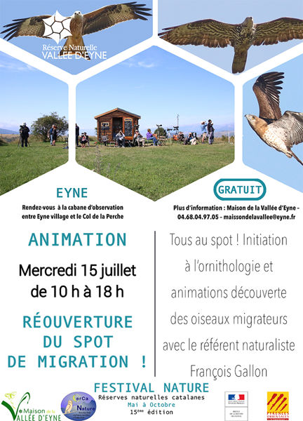 Initiation à l'ornithologie