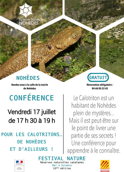 Conférence sur les calotritons