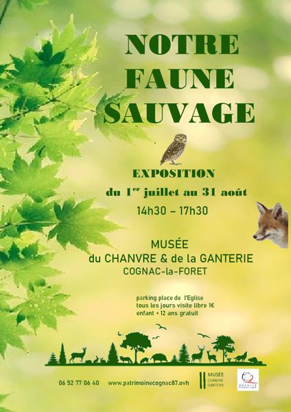 NOTRE FAUNE SAUVAGE