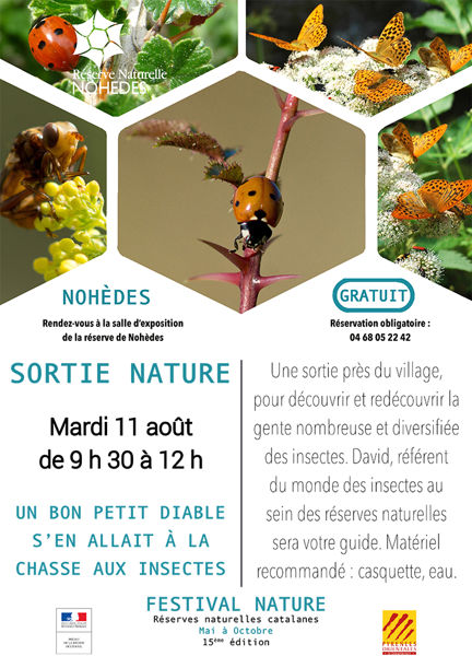 Sortie nature à la découverte des insectes