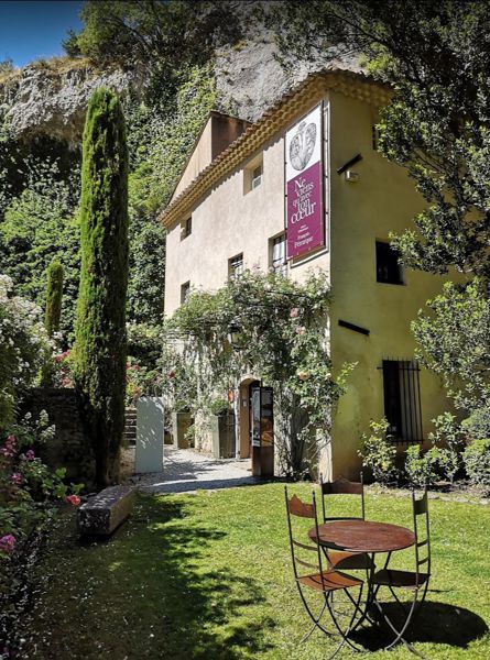 La Sorgue côté jardin de Pétrarque