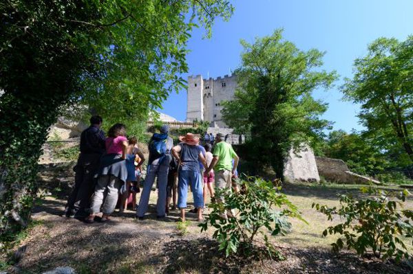 Visite guidée introductive dans les jardins de la Tour