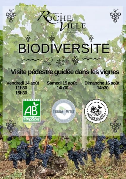 Visite guidée dans les vignes de Rocheville sur la biodiversité