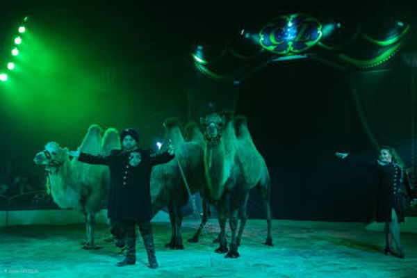 Le grand Cirque Achille Zavatta fils à Doubs