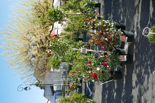 foire aux plantes