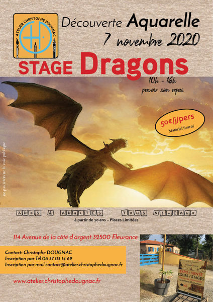 Découverte Dragons