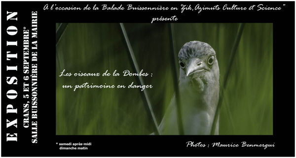 Exposition photographies