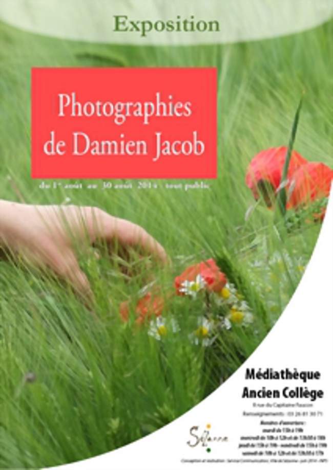 Exposition de Damien Jacob