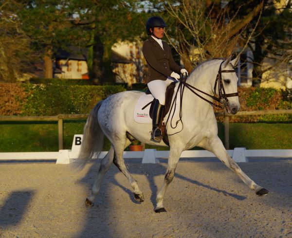 Concours National de Dressage