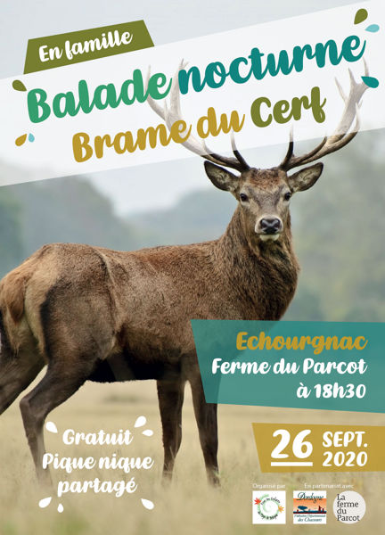 Balade Brame du Cerf