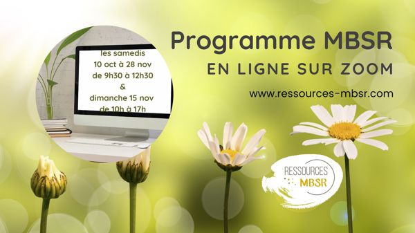 Programme MBSR - en ligne