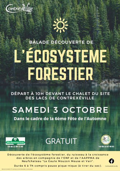 Balade découverte de l'écosystème forestier