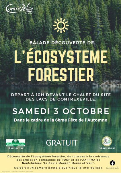 Balade découverte de l'écosystème forestier