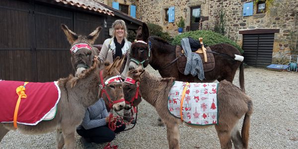  BALADE AVEC ÂNES AUX SAVEURS DE NOEL