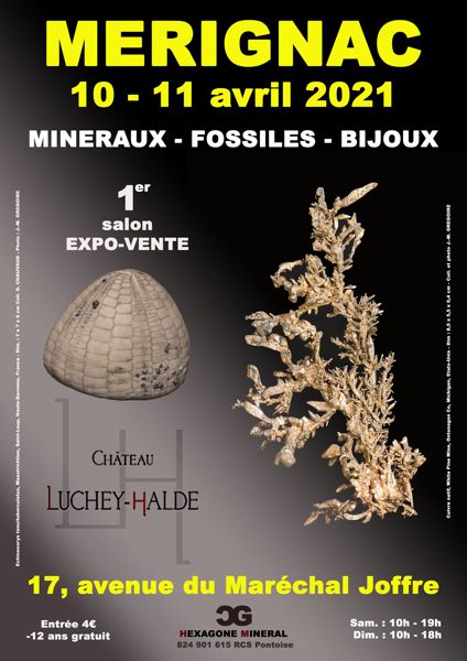 1er SALON MINERAUX FOSSILES BIJOUX