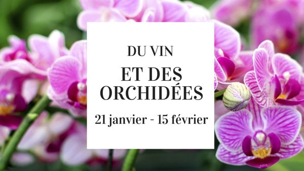 Du vin et des orchidées