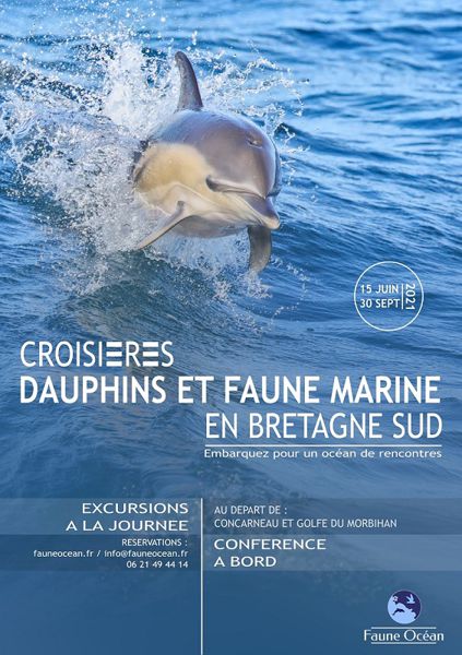 Croisière Dauphins et faune marine de Bretagne