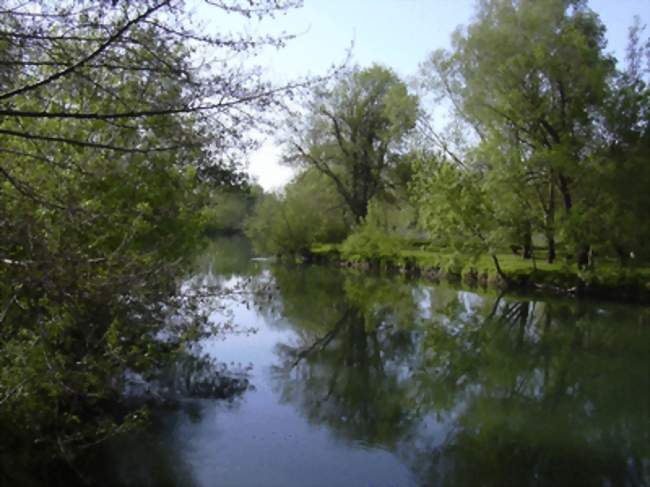 Le fleuve Charente