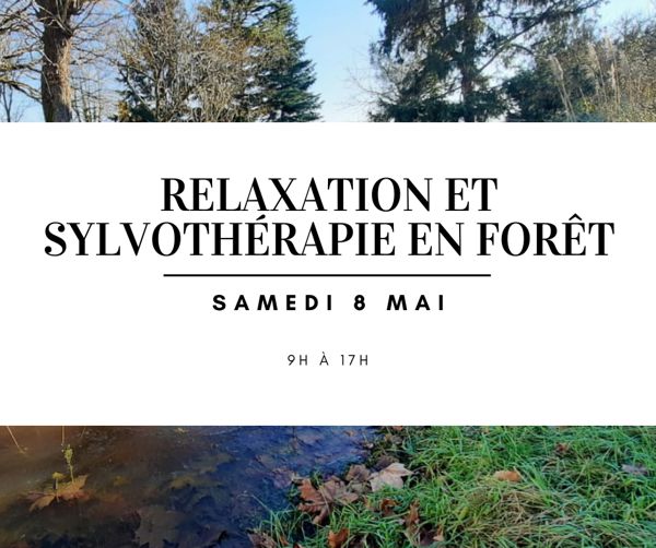 Relaxation et sylvothérapie en forêt