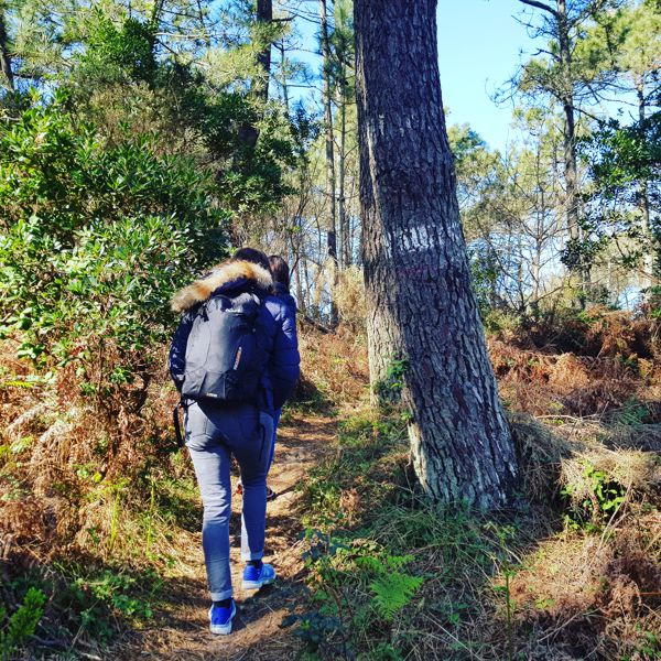 Bain de forêt & Méditation sonore