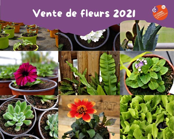 Vente de fleurs à la ferme de Chosal