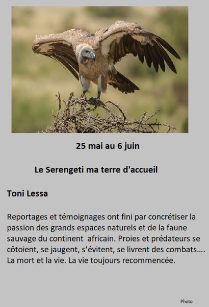 La Sérengeti ma terre d'accueil, photographies par Toni Lessa