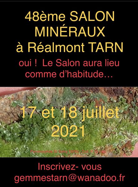 Salon Internationaml Mineraux et Fossiles