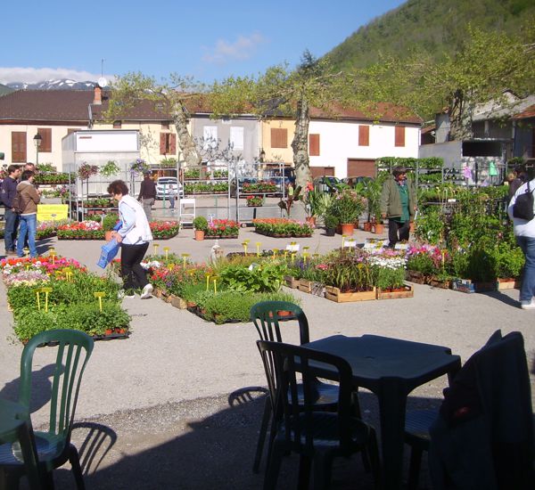 Marché aux fleurs