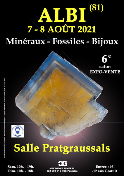 5r SALON MINERAUX FOSSILES BIJOUX