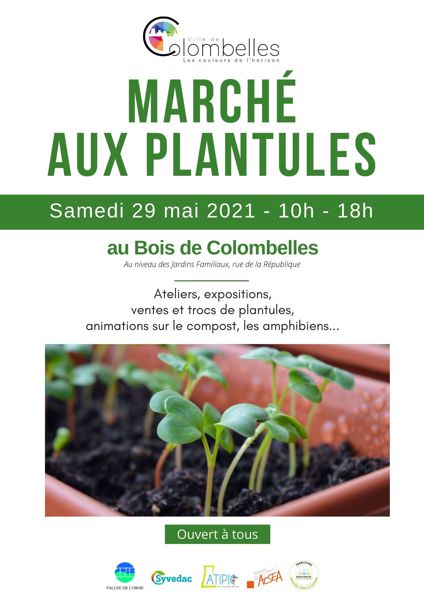 MARCHE AUX PLANTULES