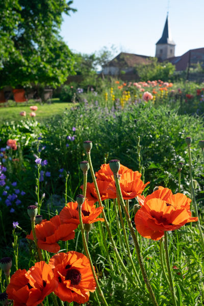 Rendez-Vous aux jardins