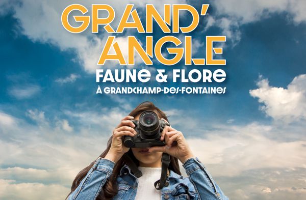 Grand'Angle