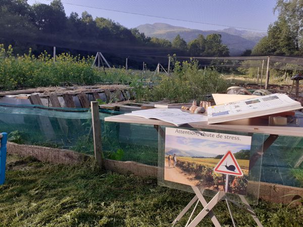 Visite à la ferme!