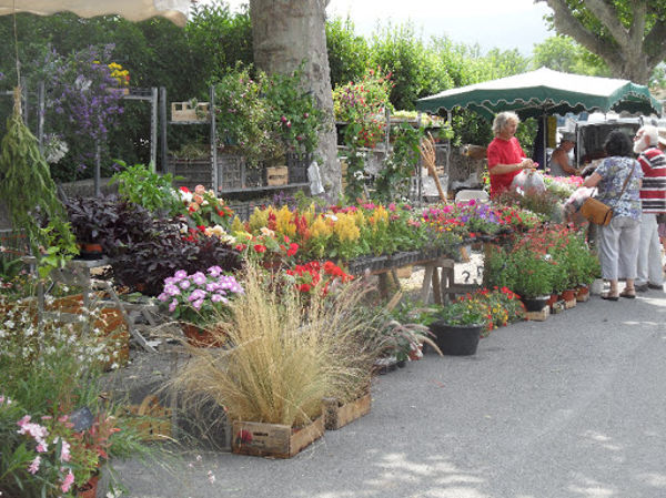 FOIRE A L'HERBORISTERIE