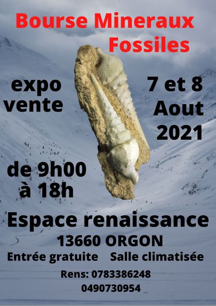 5éme bourse mineraux fossiles d'Orgon