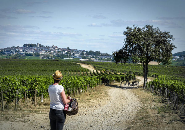 Dégustation immersive  « Au cœur des Chais »