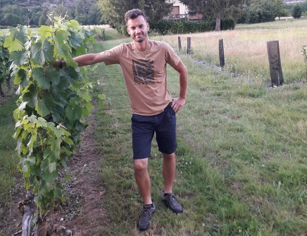 Vignes ouvertes, sols couverts : Le nectar du vignoble