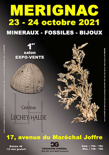 1er SALON MINERAUX FOSSILES BIJOUX de MERIGNAC (Gironde)