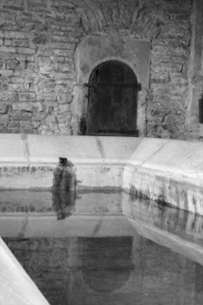 EXPOSITION - PHOTOGRAPHIE