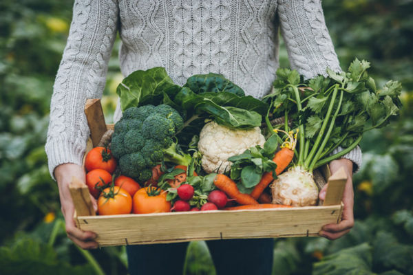 31 octobre: Marché au Château Vaudrémont