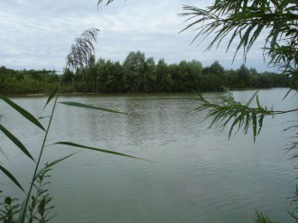 Visite guidée de l'Etange d'Essey