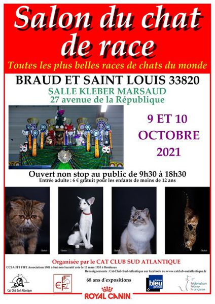 Exposition de Chats de Race Cat Club Aquitaine