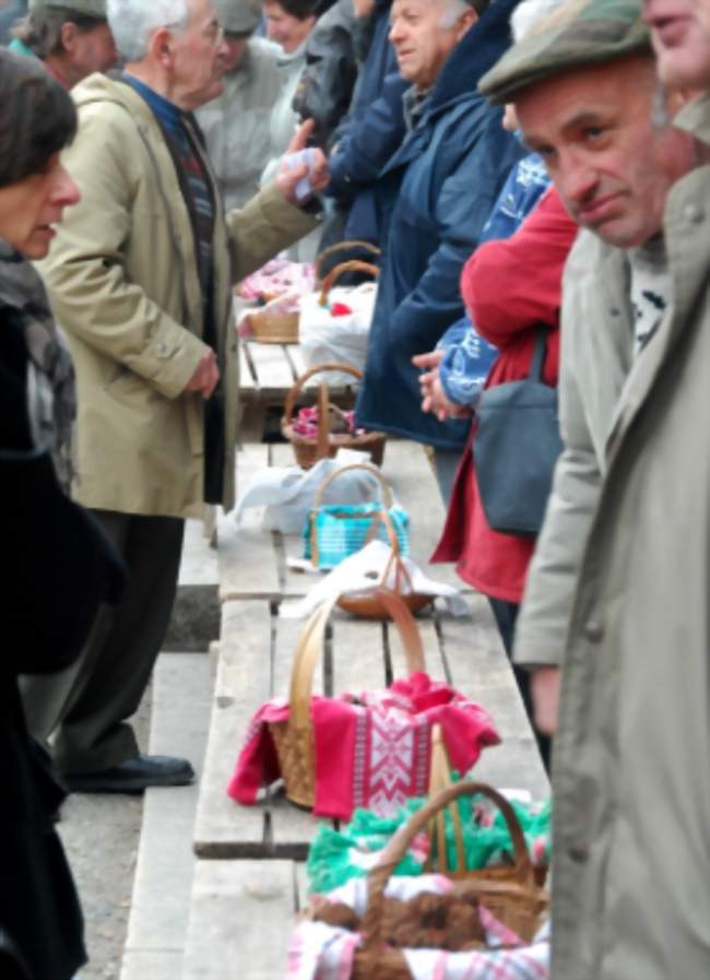 Marché aux Truffes