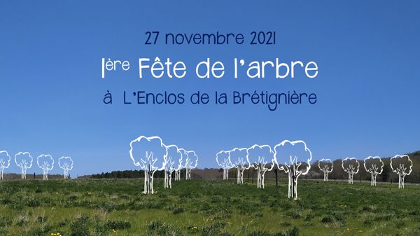 1ère Fête de l'arbre