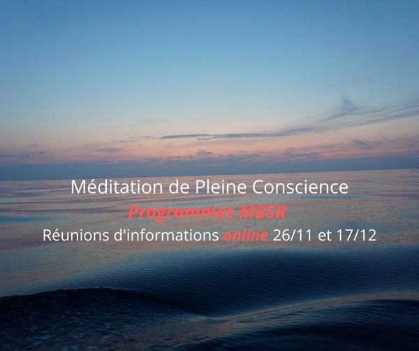 Méditation de Pleine Conscience, Programme MBSR: Séances d'informations