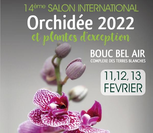 14ème Salon International de l'Orchidée de Bouc Bel Air